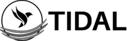 TIDAL trademark
