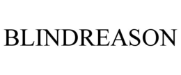 BLINDREASON trademark