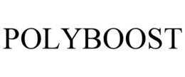 POLYBOOST trademark