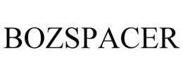 BOZSPACER trademark