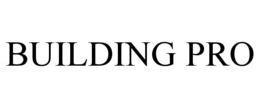 BUILDING PRO trademark