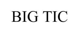 BIG TIC trademark
