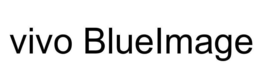 VIVO BLUEIMAGE trademark