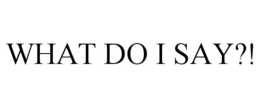 WHAT DO I SAY?! trademark