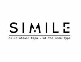 SIMILE DELLO STESSO TIPO OF THE SAME TYPE trademark