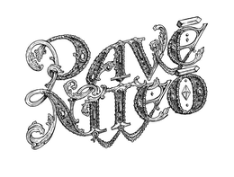 PAVE NITEO trademark
