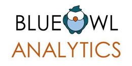 BLUE OWL ANALYTICS trademark