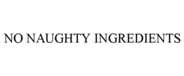 NO NAUGHTY INGREDIENTS trademark