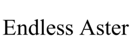 ENDLESS ASTER trademark