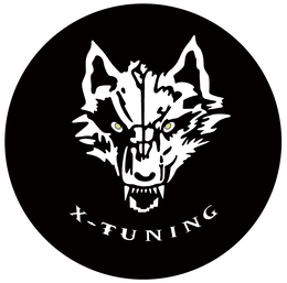X-TUNING trademark