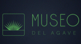 MUSEO DEL AGAVE trademark
