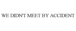 WE DIDN'T MEET BY ACCIDENT trademark