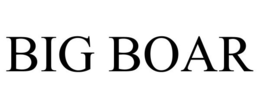 BIG BOAR trademark