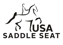 USA SADDLE SEAT trademark