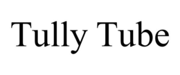 TULLY TUBE trademark