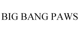BIG BANG PAWS trademark