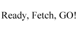 READY, FETCH, GO! trademark