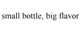 SMALL BOTTLE, BIG FLAVOR trademark