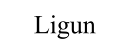 LIGUN trademark