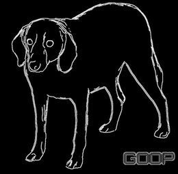 GOOP trademark