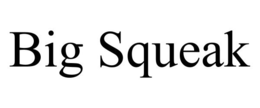 BIG SQUEAK trademark