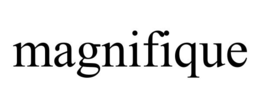 MAGNIFIQUE trademark