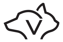 V trademark