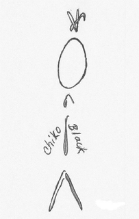 CHIKO BLACK trademark