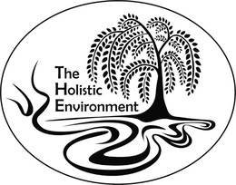 THE HOLISTIC ENVIRONMENT trademark