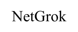 NETGROK trademark