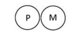 PM trademark
