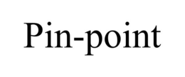 PIN-POINT trademark