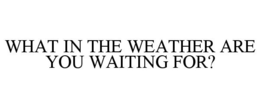 WHAT IN THE WEATHER ARE YOU WAITING FOR? trademark