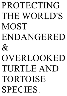 PROTECTING THE WORLD'S MOST ENDANGERED & OVERLOOKED TURTLE AND TORTOISE SPECIES. trademark