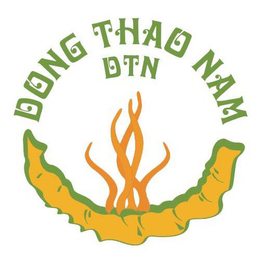 DONG THAO NAM DTN trademark
