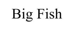 BIG FISH trademark