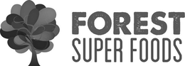 FOREST SUPER FOODS trademark