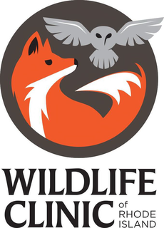 WILDLIFE CLINIC OF RHODE ISLAND trademark