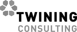 TWINING CONSULTING trademark