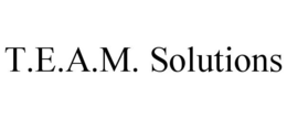 T.E.A.M. SOLUTIONS trademark
