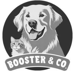 BOOSTER & CO. trademark