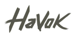 HAVOK trademark
