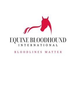 EQUINE BLOODHOUND INTERNATIONAL BLOODLINES MATTER trademark