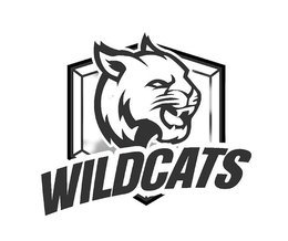 WILDCATS trademark
