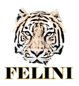 FELINI trademark