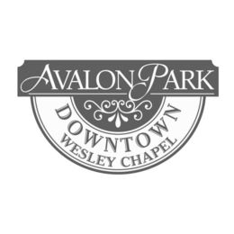 AVALON PARK DOWNTOWN WESLEY CHAPEL trademark