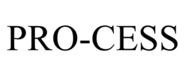 PRO-CESS trademark