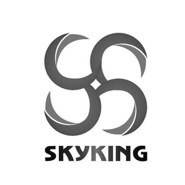 SKYKING trademark