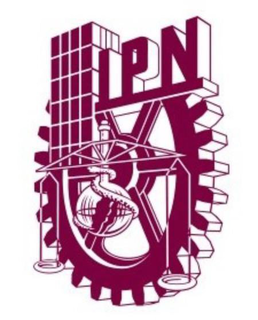 IPN trademark