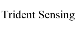 TRIDENT SENSING trademark